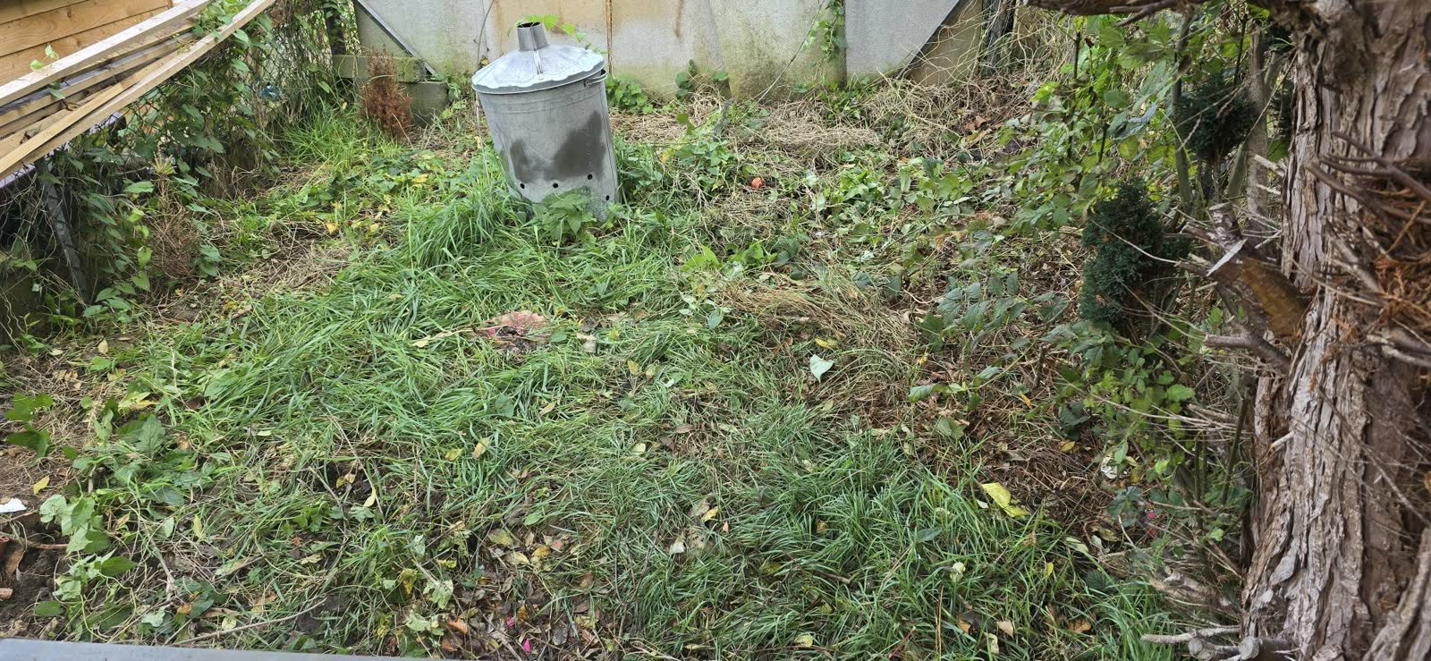 Bath Garden and Deck Waste Clearance after clearance