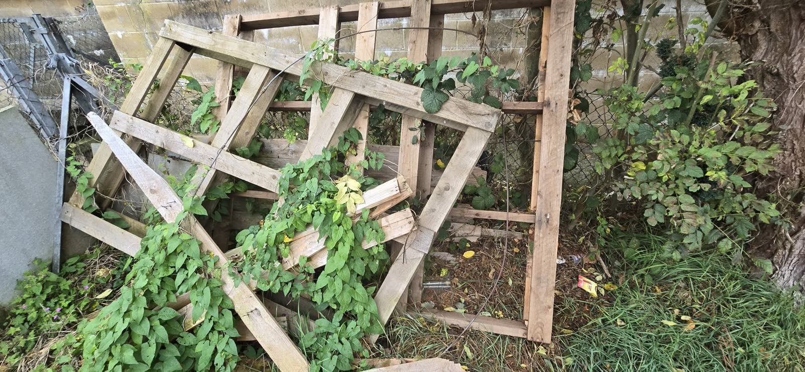 Bath Garden and Deck Waste Clearance before clearance