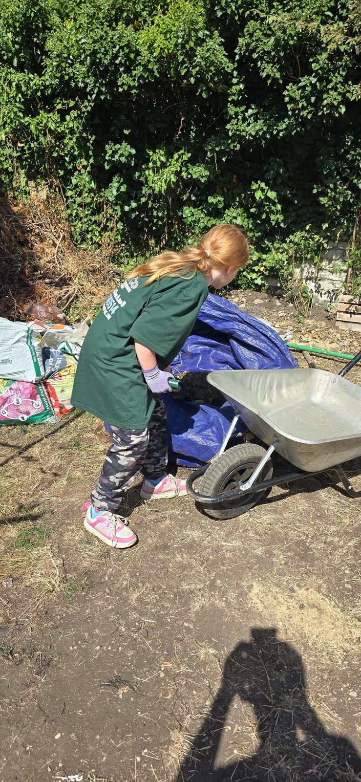 Bath Garden Waste and Ground Clearance project photo 6