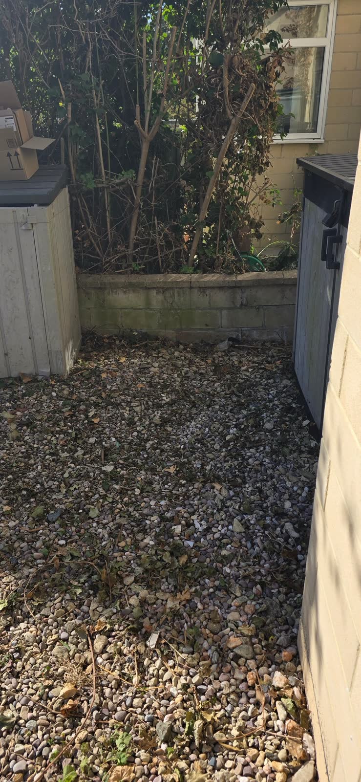 Bath Household and Outdoor Waste Clearance after clearance