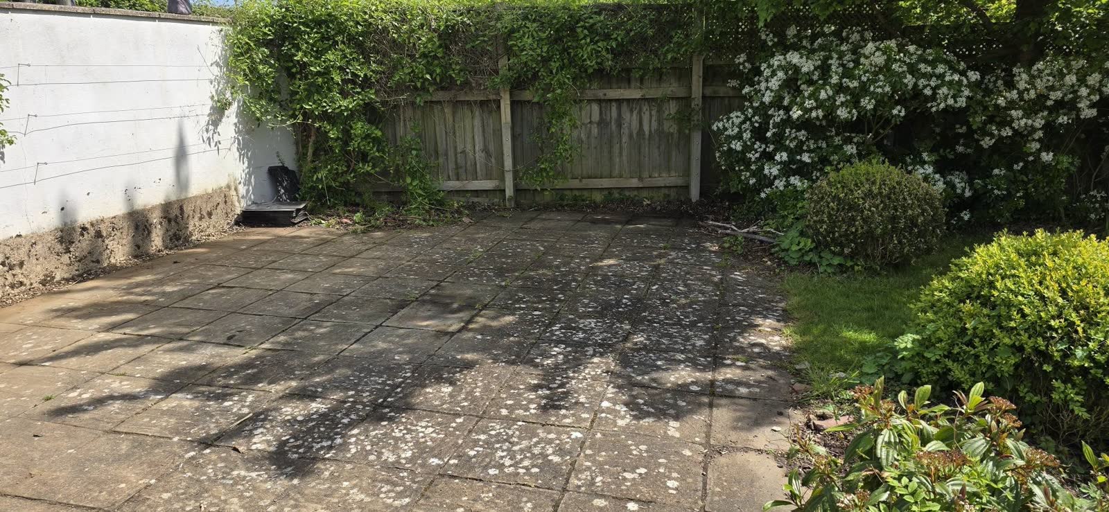 Castle Cary Garden Waste and Item Clearance project photo 5