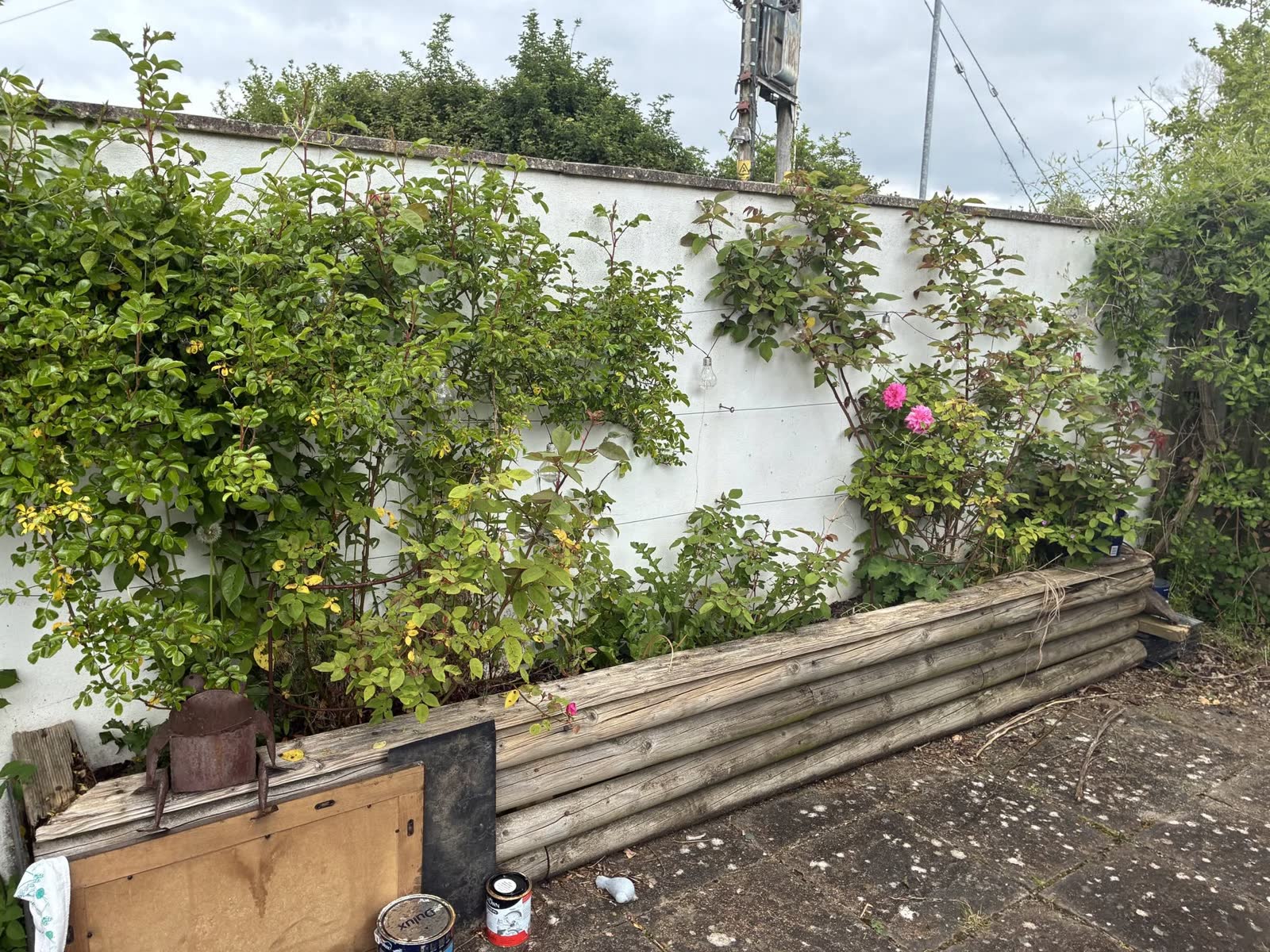 Castle Cary Garden Waste and Item Clearance project photo 4