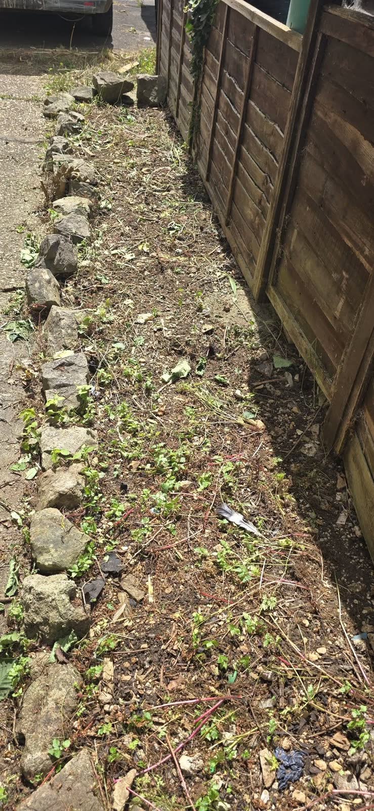 Commercial Bagged Waste and Path Clearance after clearance
