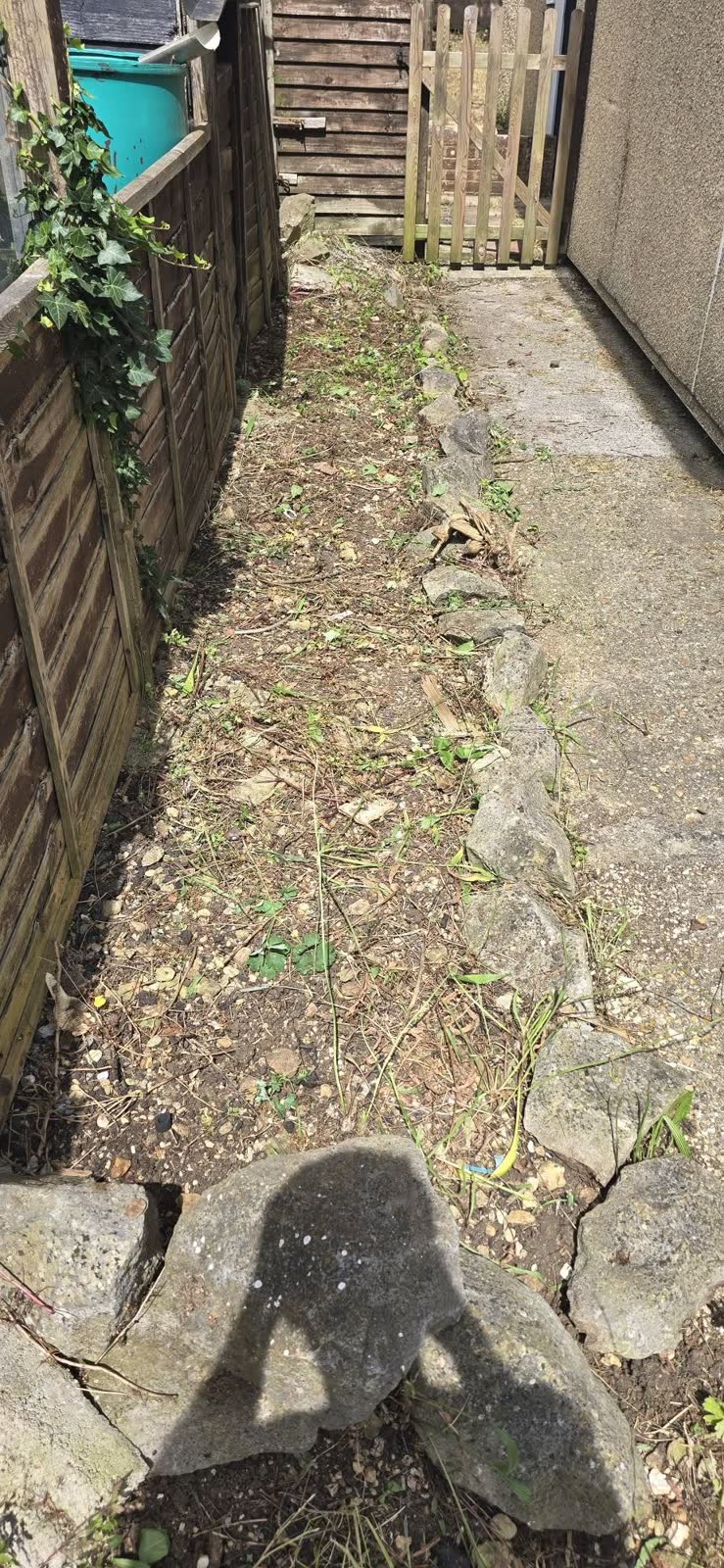 Commercial Bagged Waste and Path Clearance project photo 3