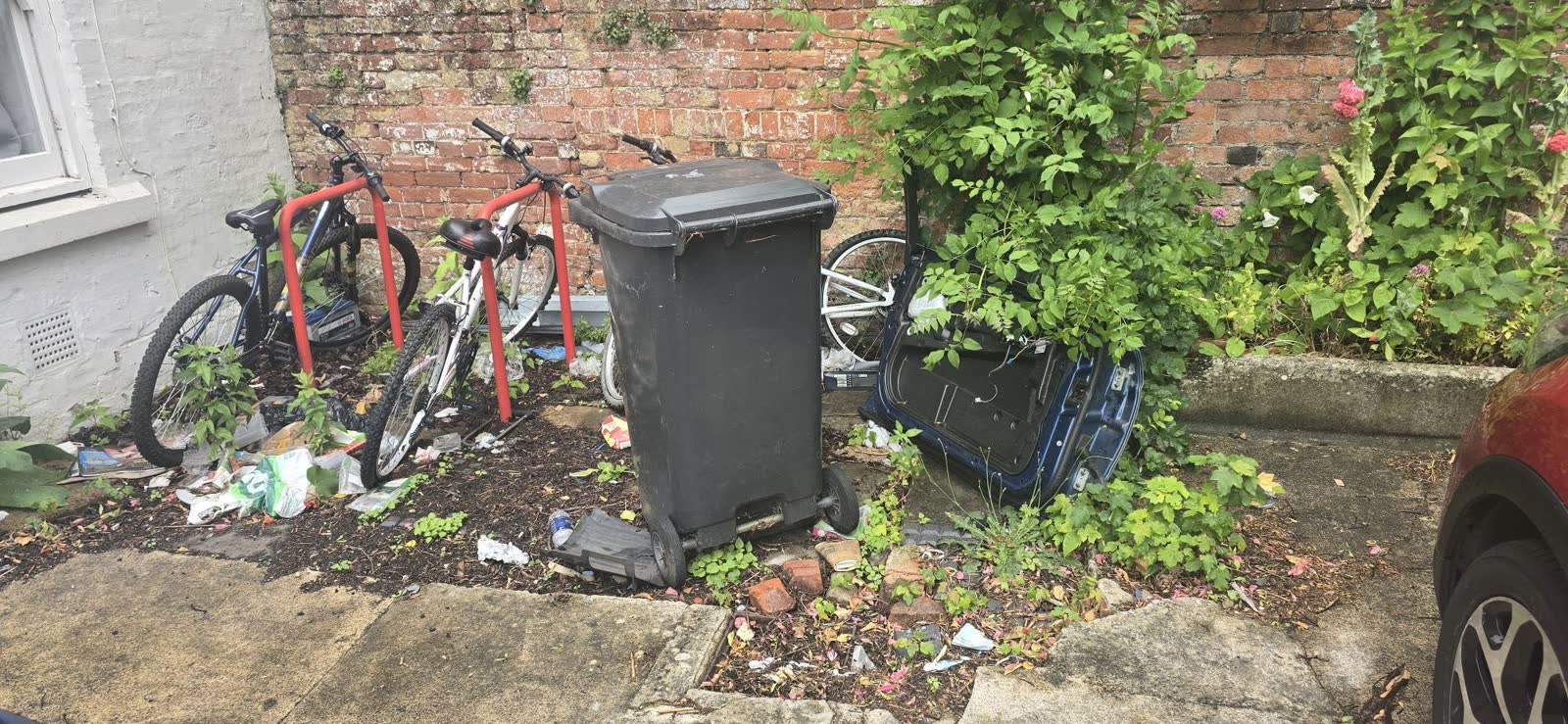 Estate-Agent Property and Bin-Store Clearance project photo 9
