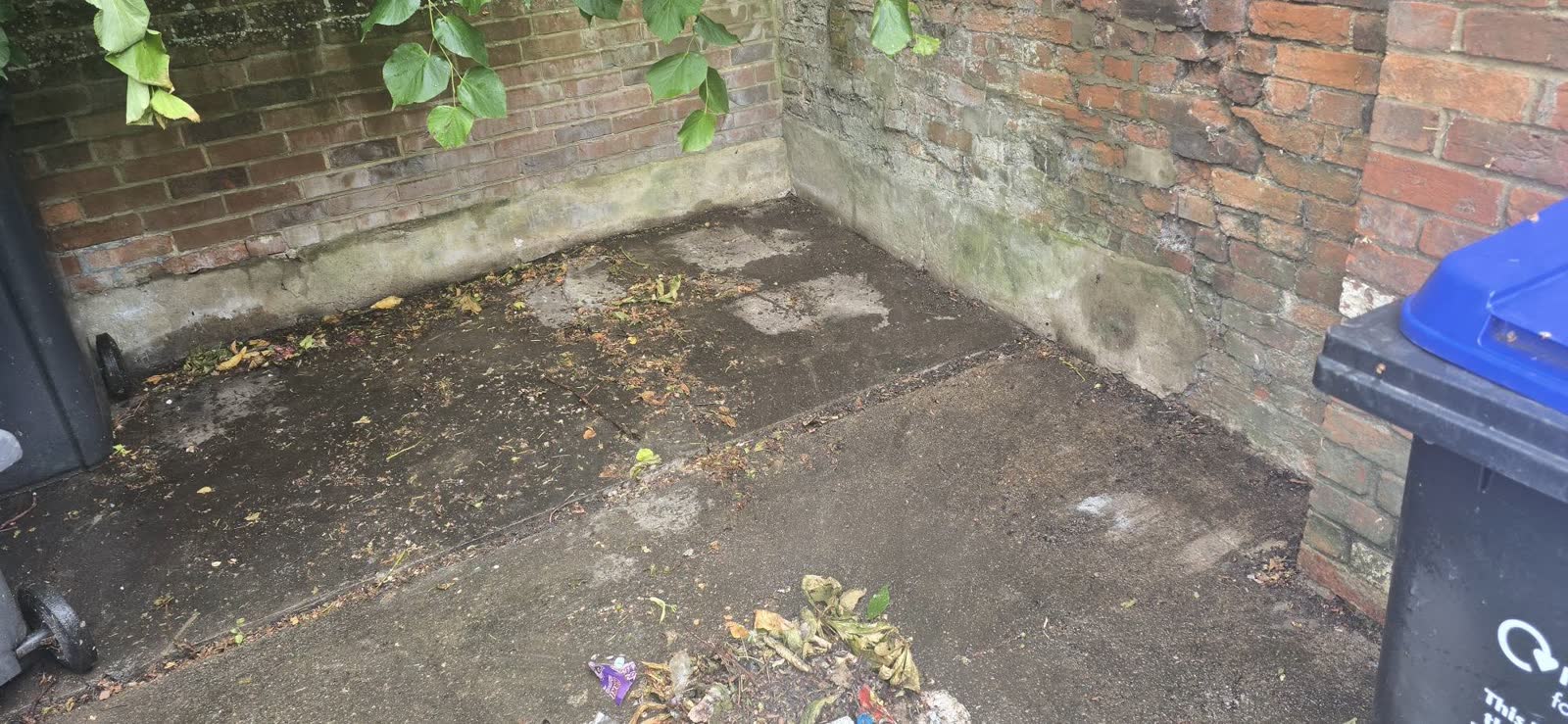 Estate-Agent Property and Bin-Store Clearance project photo 10