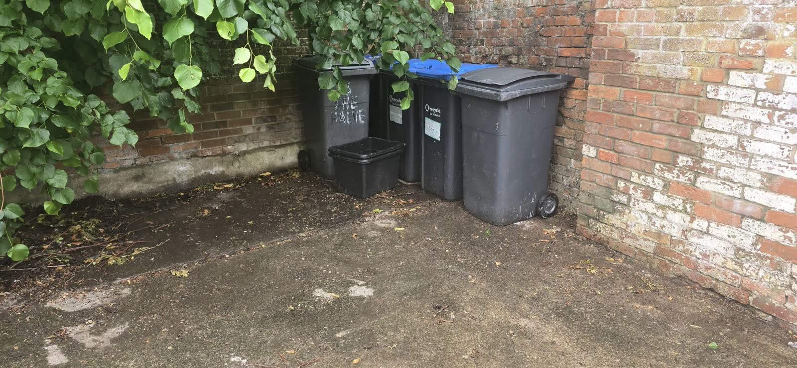 Estate-Agent Property and Bin-Store Clearance project photo 11
