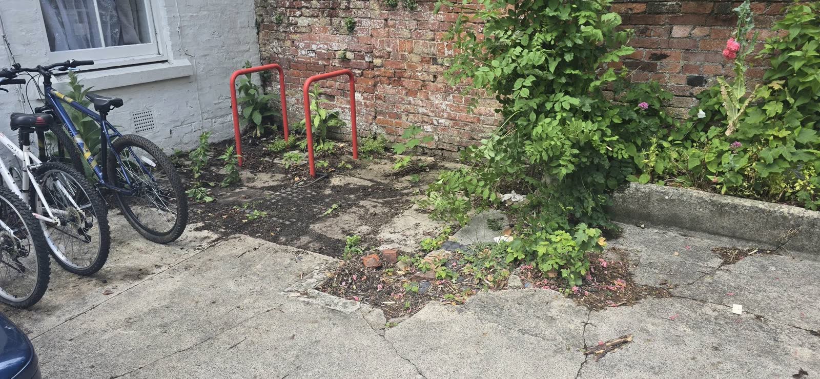 Estate-Agent Property and Bin-Store Clearance project photo 12