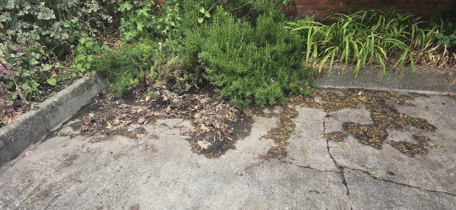 Estate-Agent Property and Bin-Store Clearance project photo 14