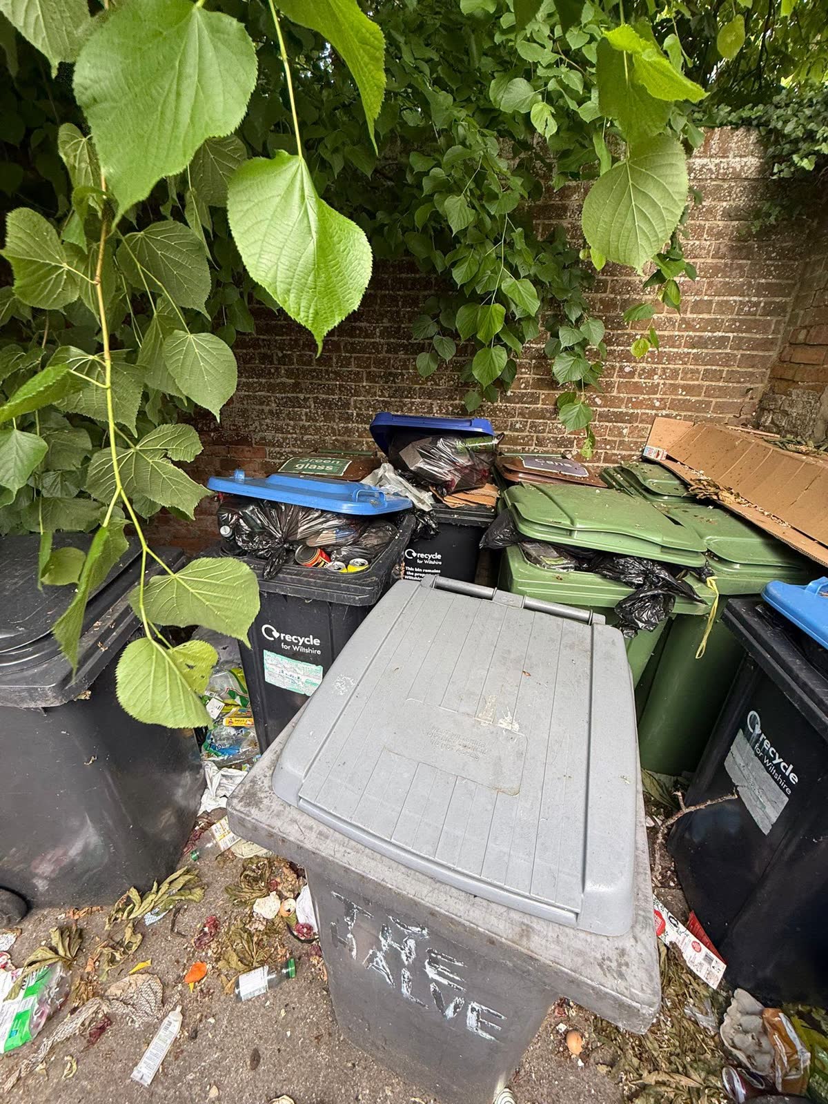 Estate-Agent Property and Bin-Store Clearance project photo 1