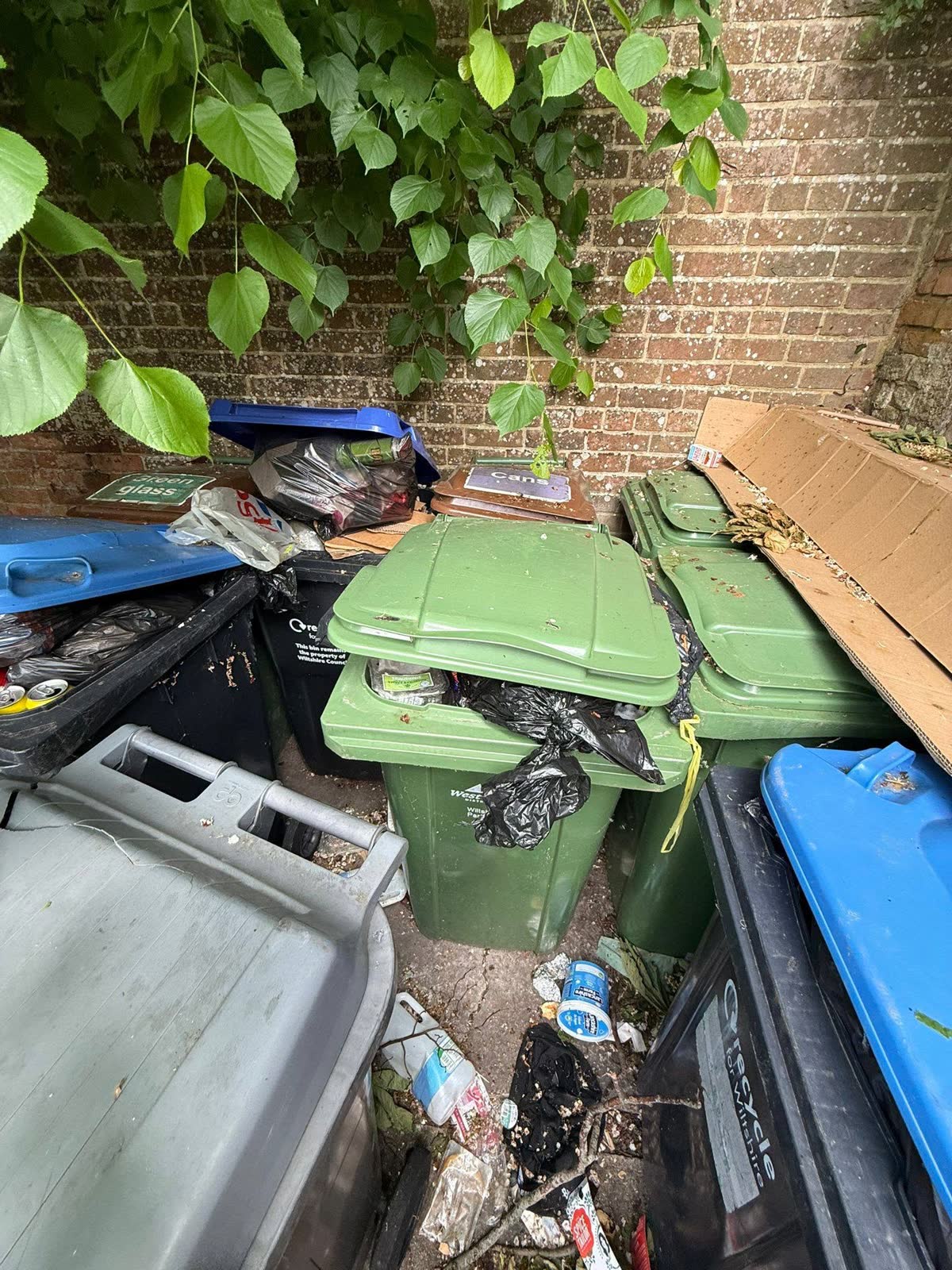 Estate-Agent Property and Bin-Store Clearance project photo 2