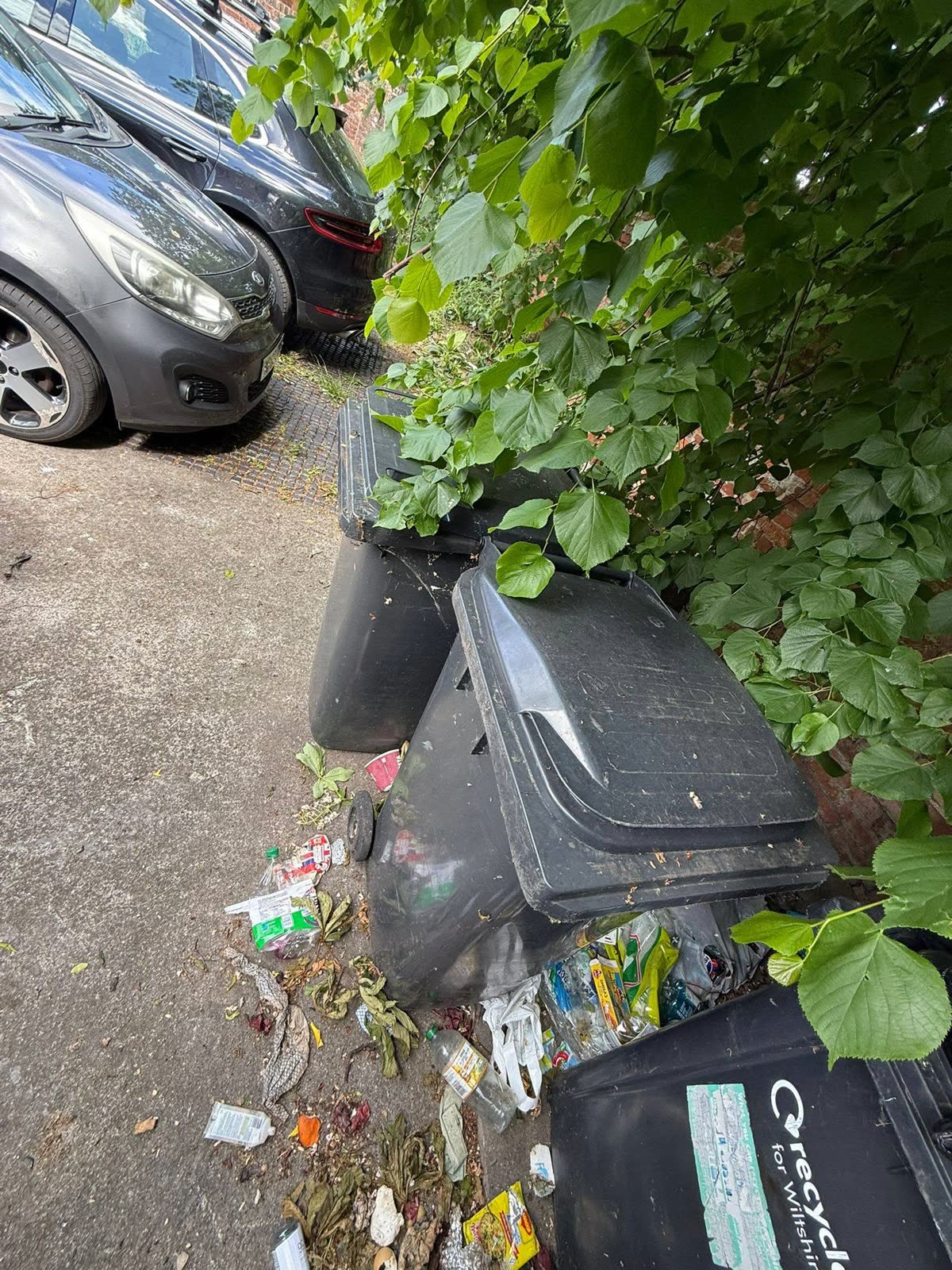 Estate-Agent Property and Bin-Store Clearance project photo 3
