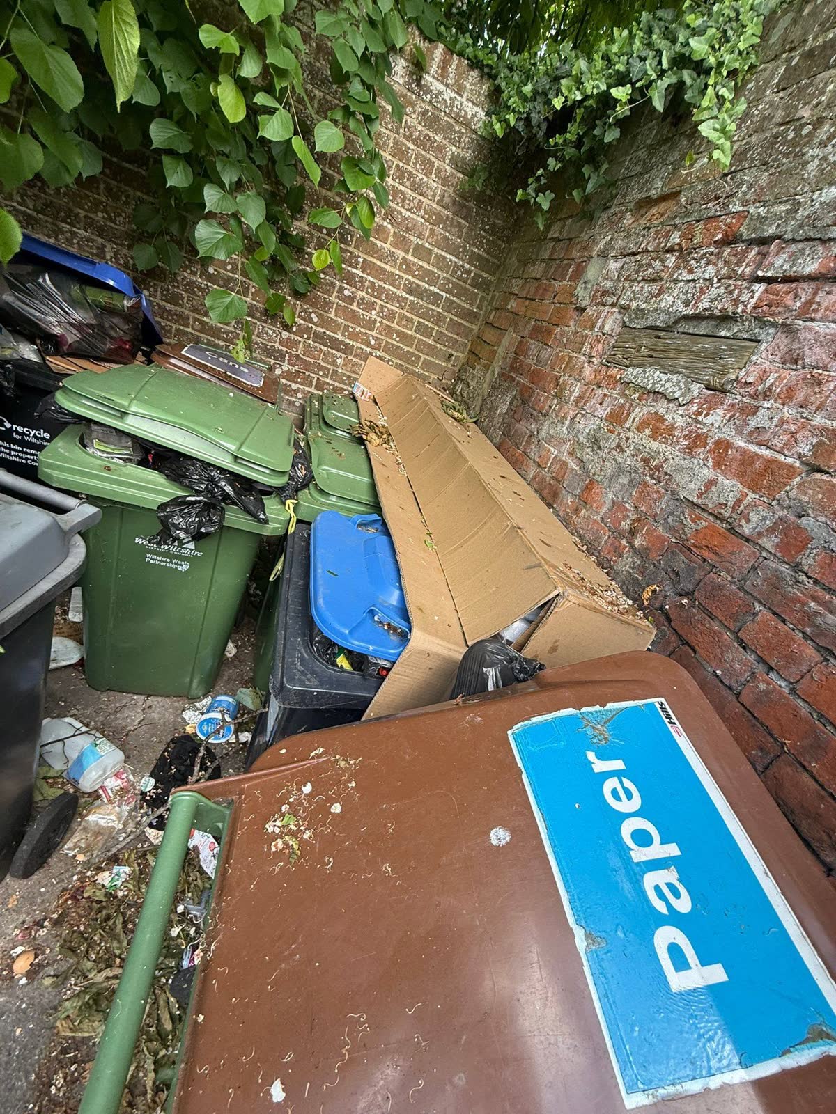 Estate-Agent Property and Bin-Store Clearance project photo 4