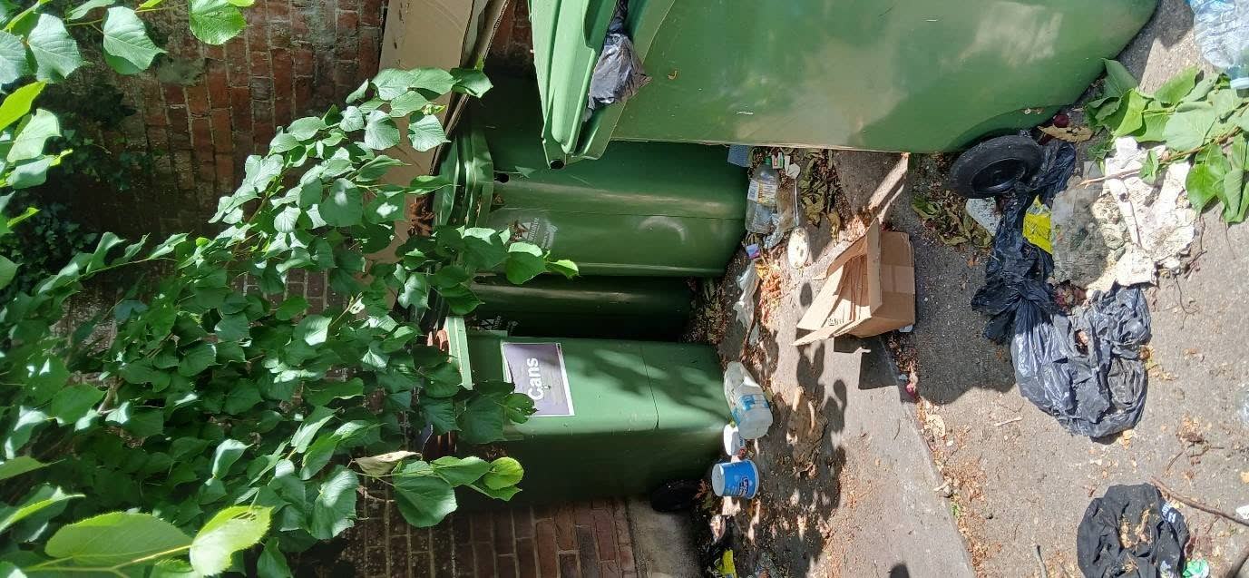 Estate-Agent Property and Bin-Store Clearance project photo 6