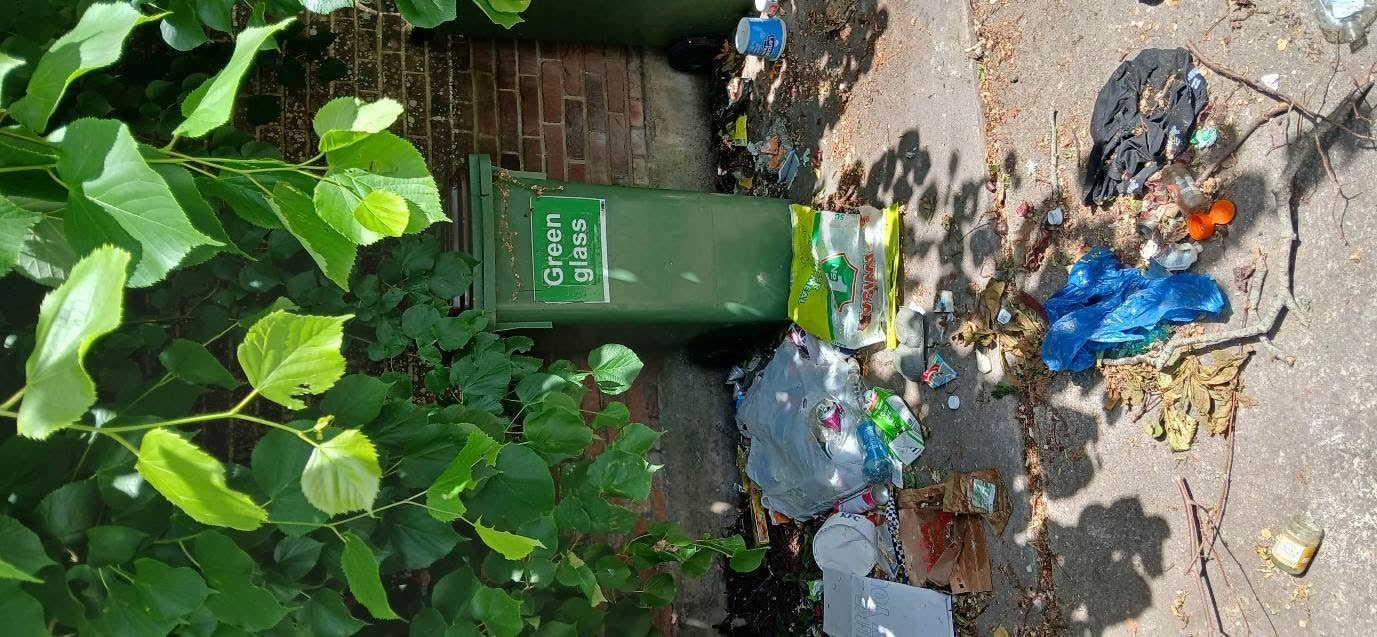 Estate-Agent Property and Bin-Store Clearance project photo 7