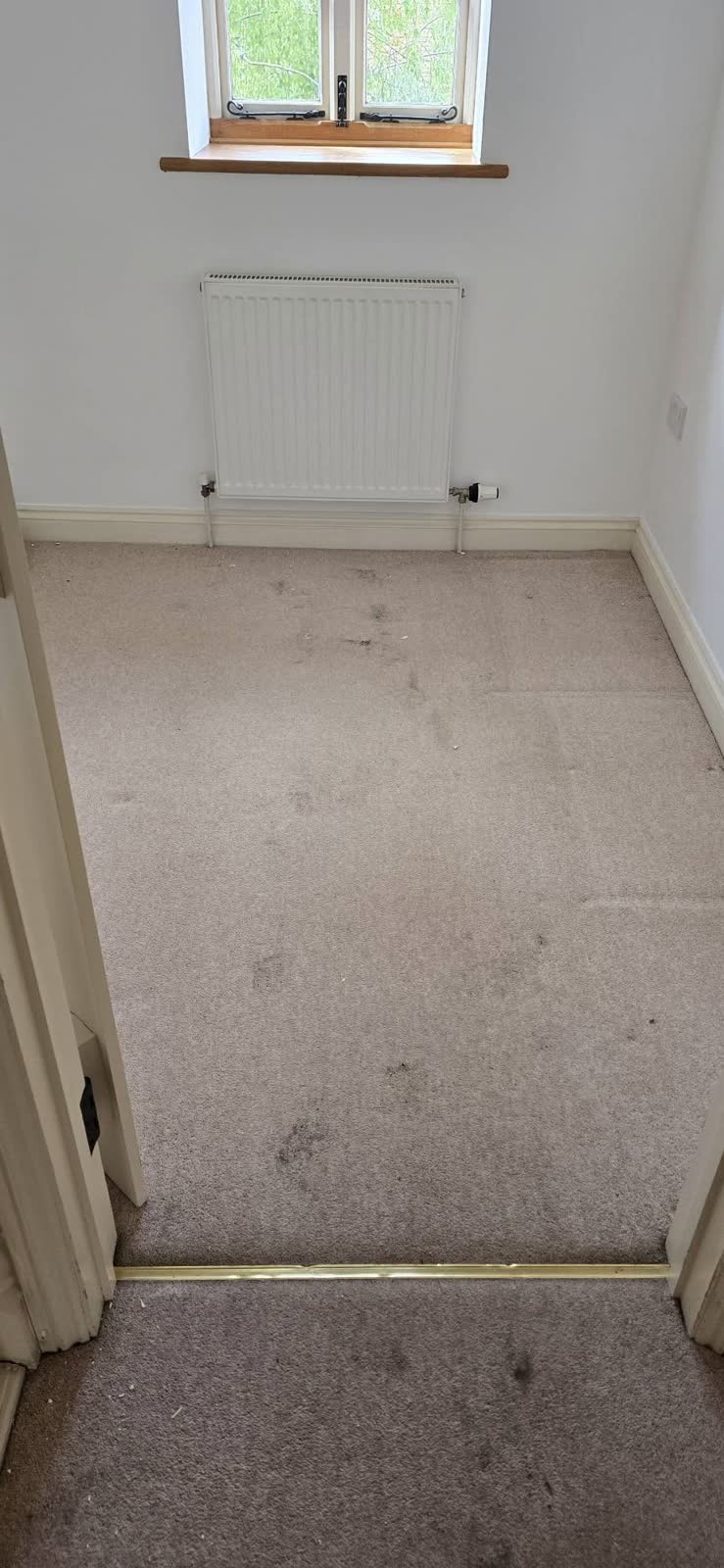 Frome Full House Clearance project photo 7