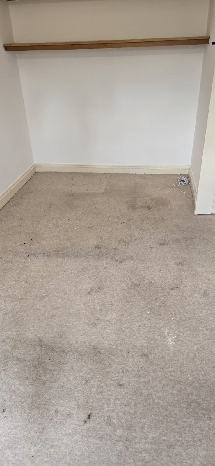 Frome Full House Clearance project photo 8
