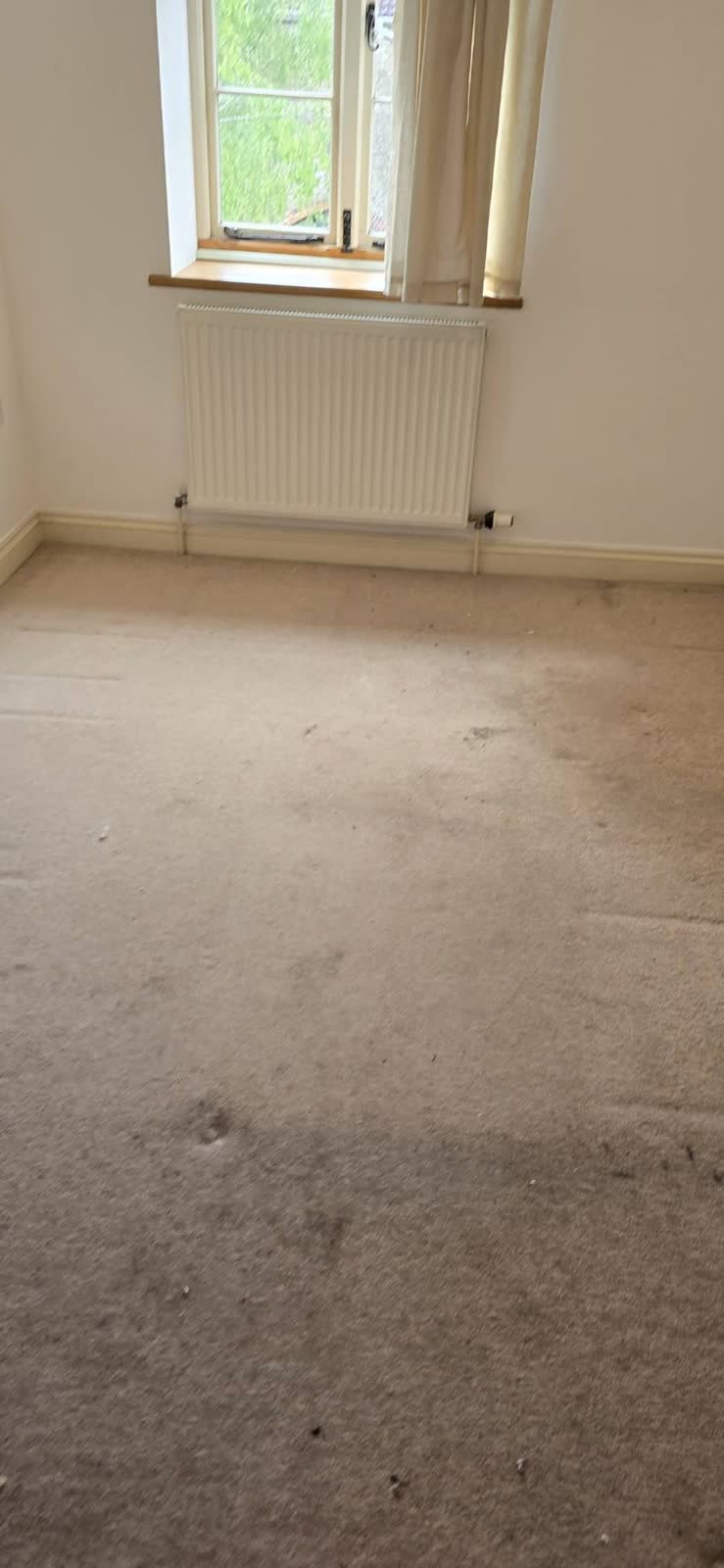 Frome Full House Clearance project photo 9