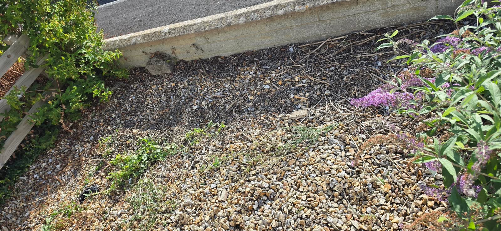 Frome General Waste Collection after clearance