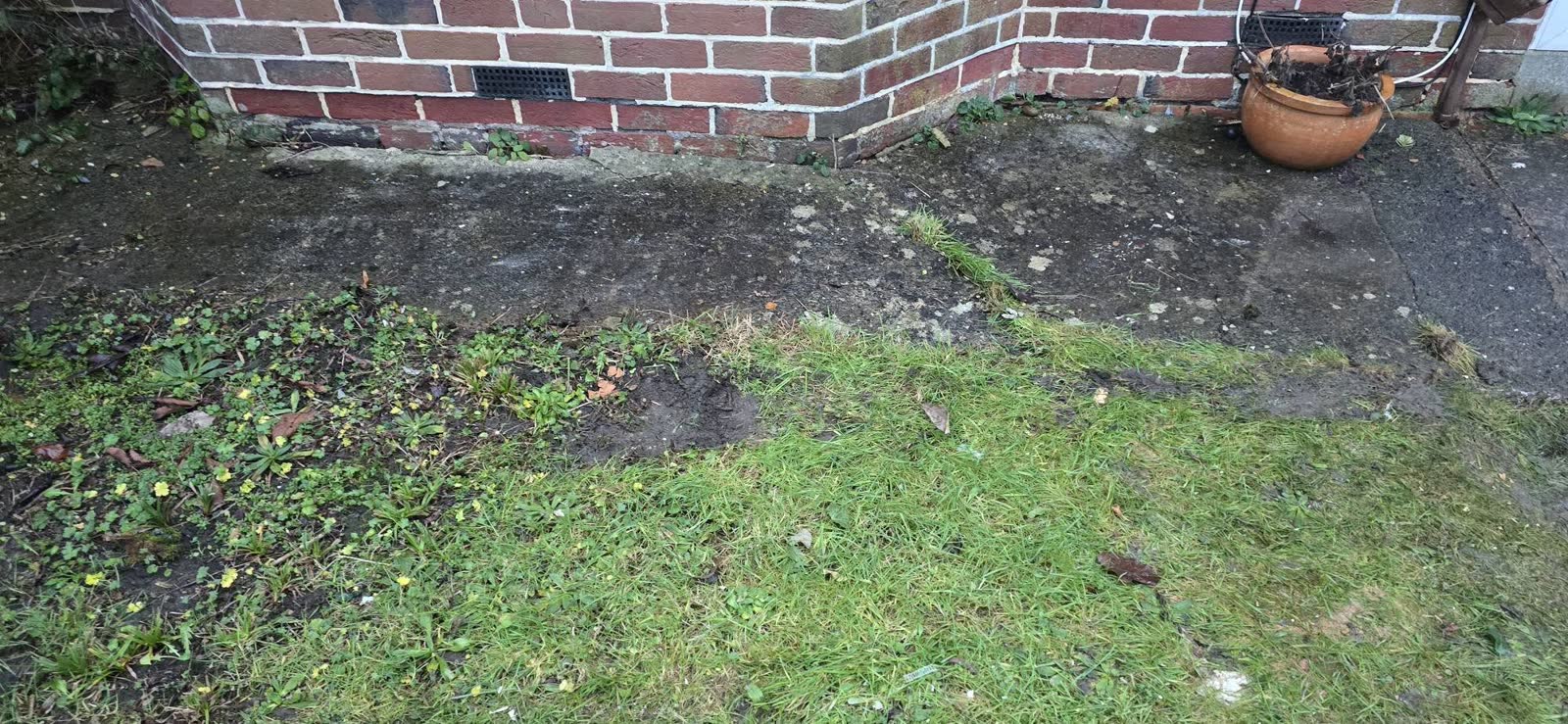 Frome Green Waste Clearance Follow-Up project photo 1
