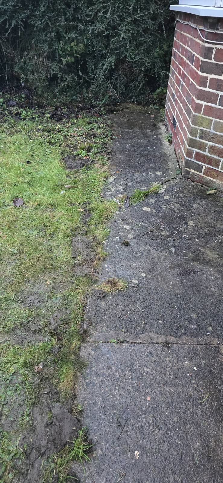 Frome Green Waste Clearance Follow-Up project photo 2