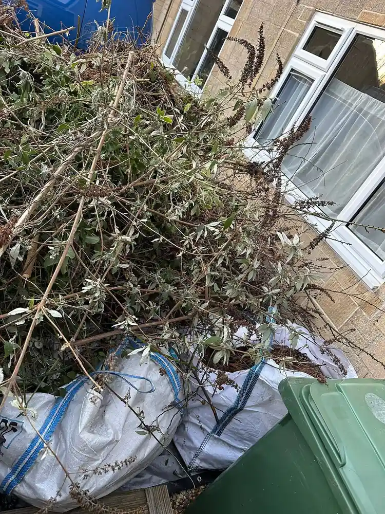 Green Waste Collection before clearance