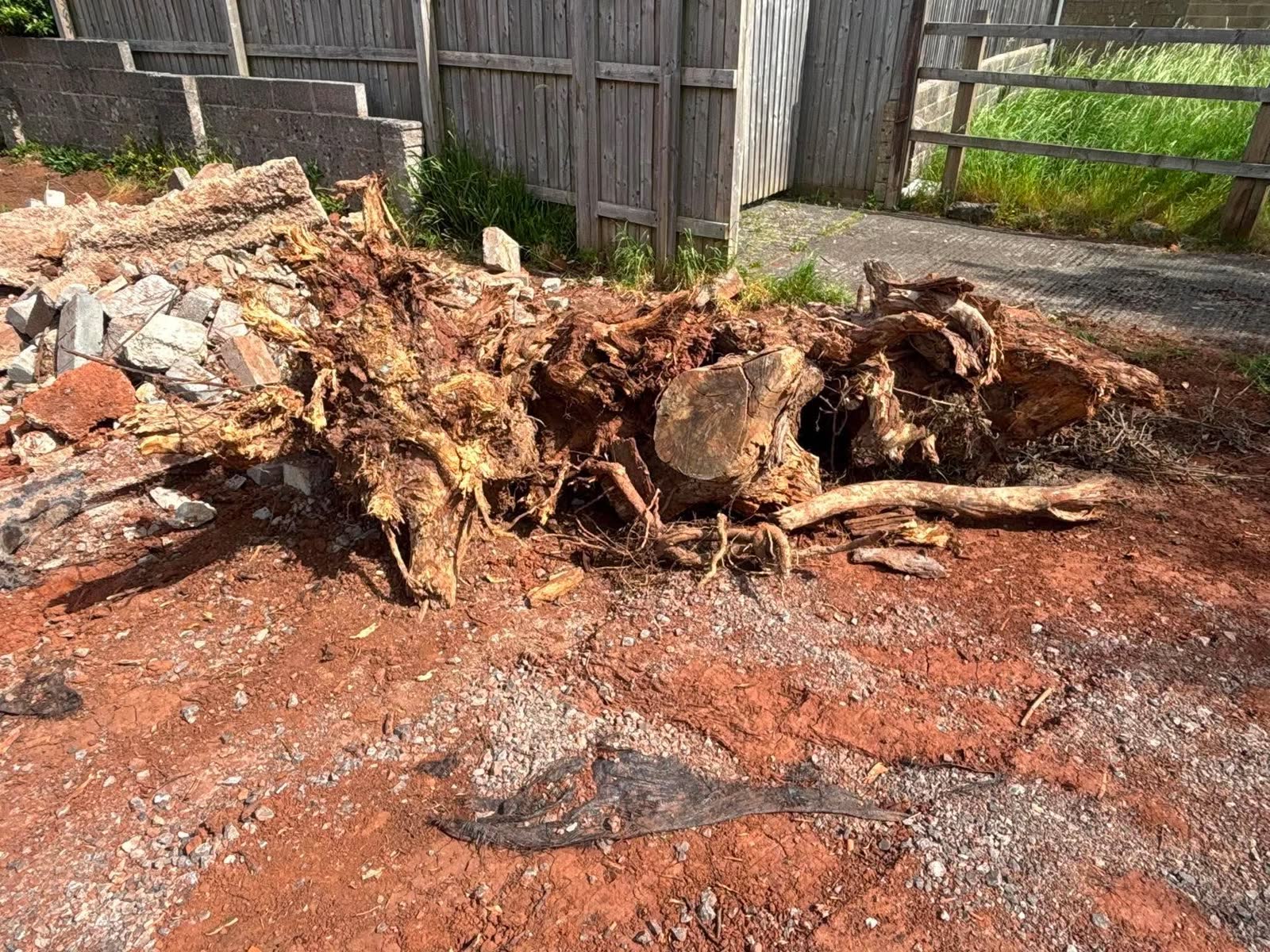 Half-Tonne Tree-Root Waste Removal before clearance