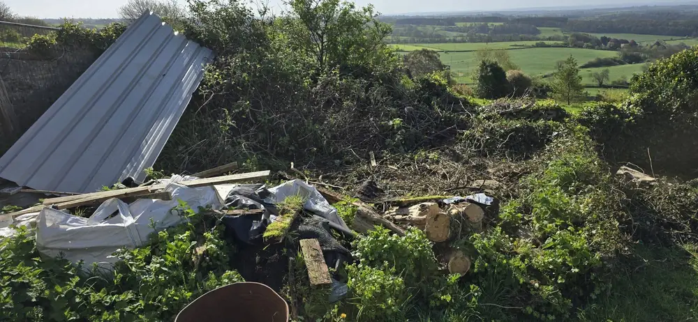 Large Garden Clearance before clearance