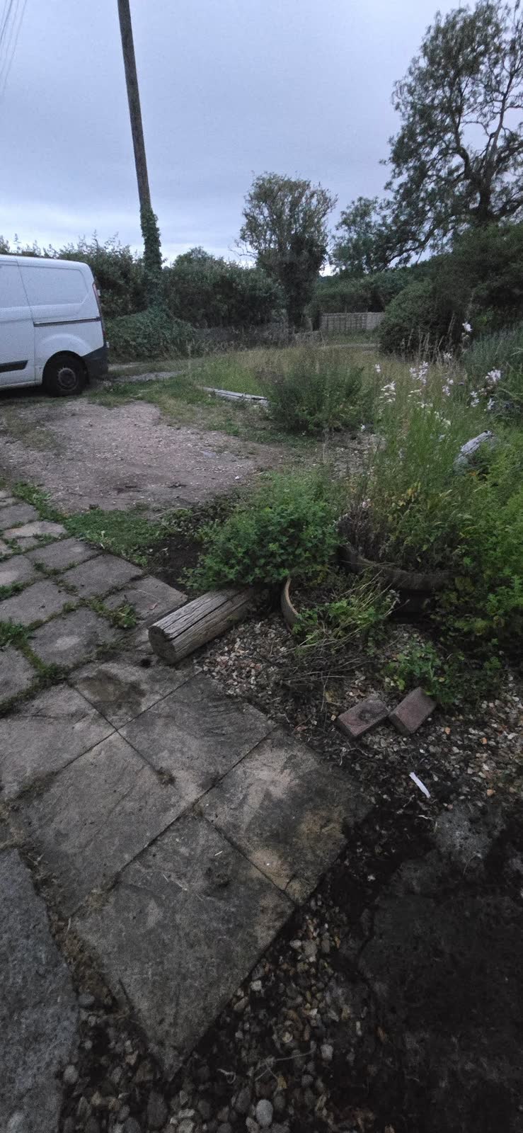 Large Garden and Building Waste Clearance project photo 18