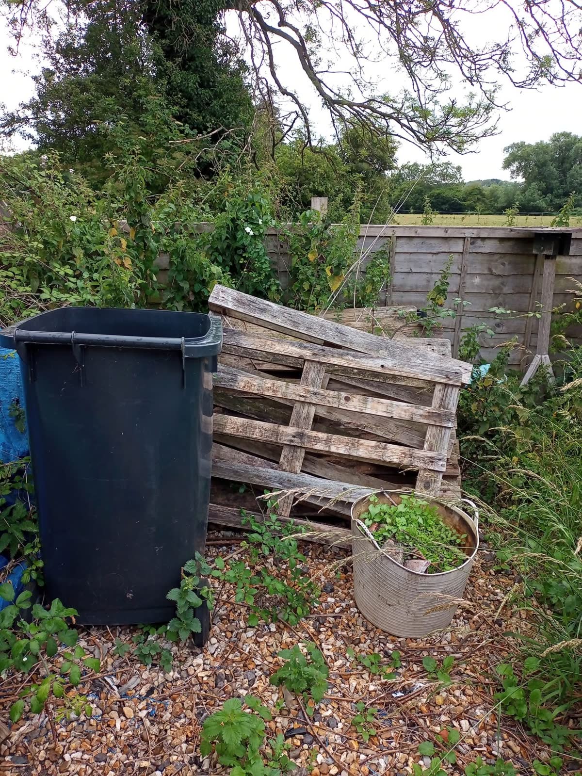 Large Garden and Building Waste Clearance project photo 8