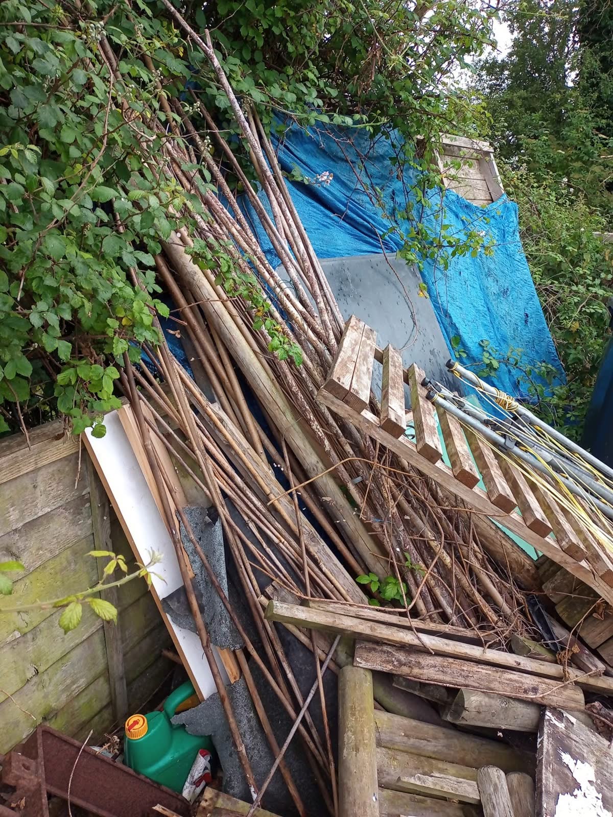 Large Garden and Building Waste Clearance project photo 9