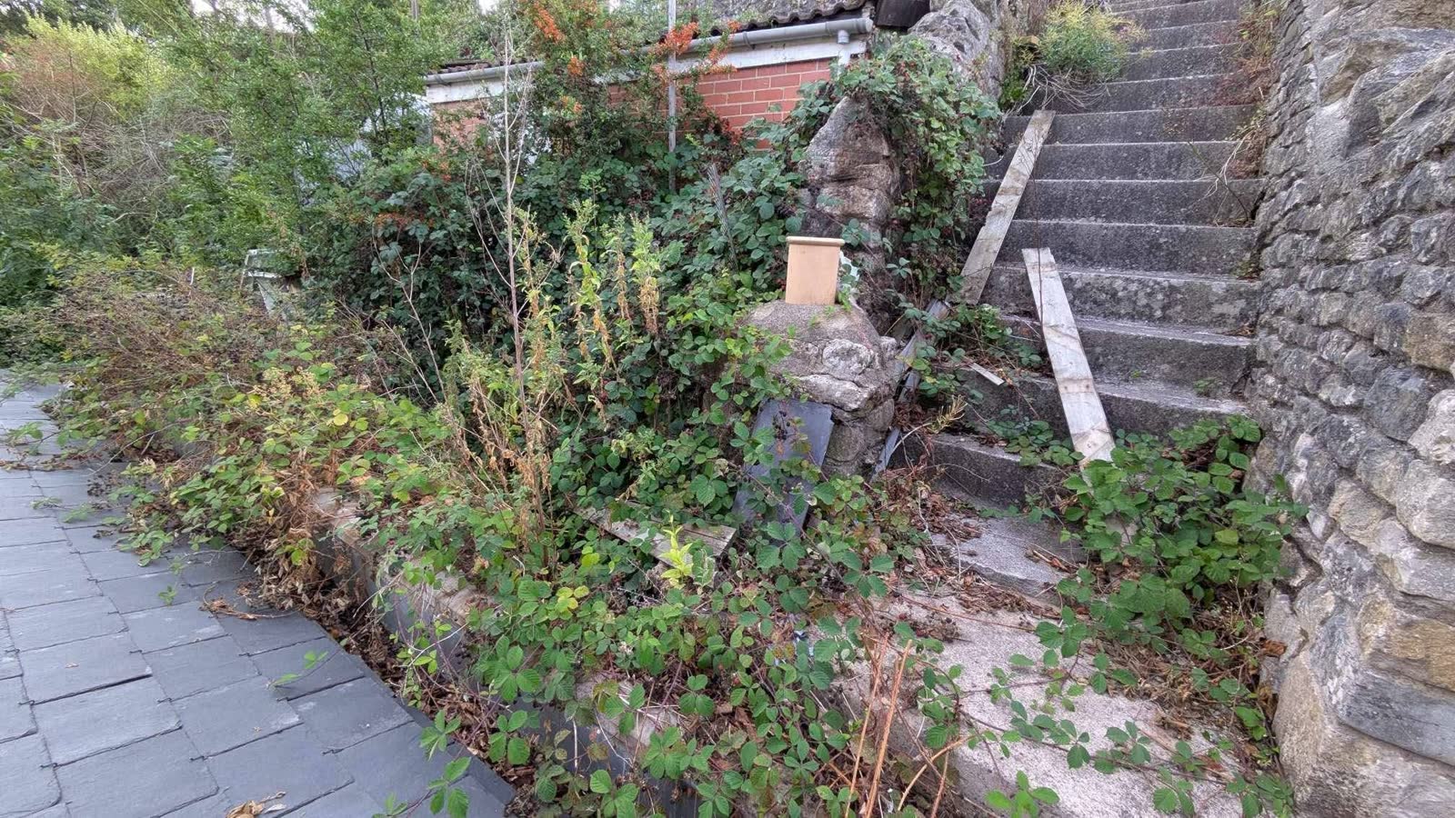 Large Garden Clearance and Green Waste Removal project photo 2