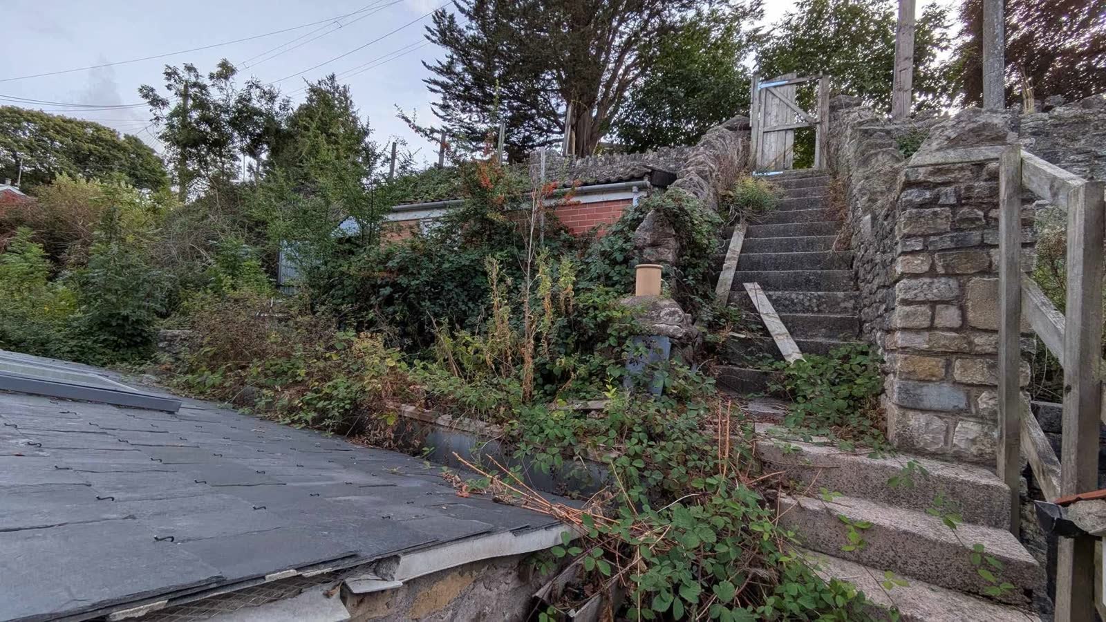 Large Garden Clearance and Green Waste Removal project photo 4