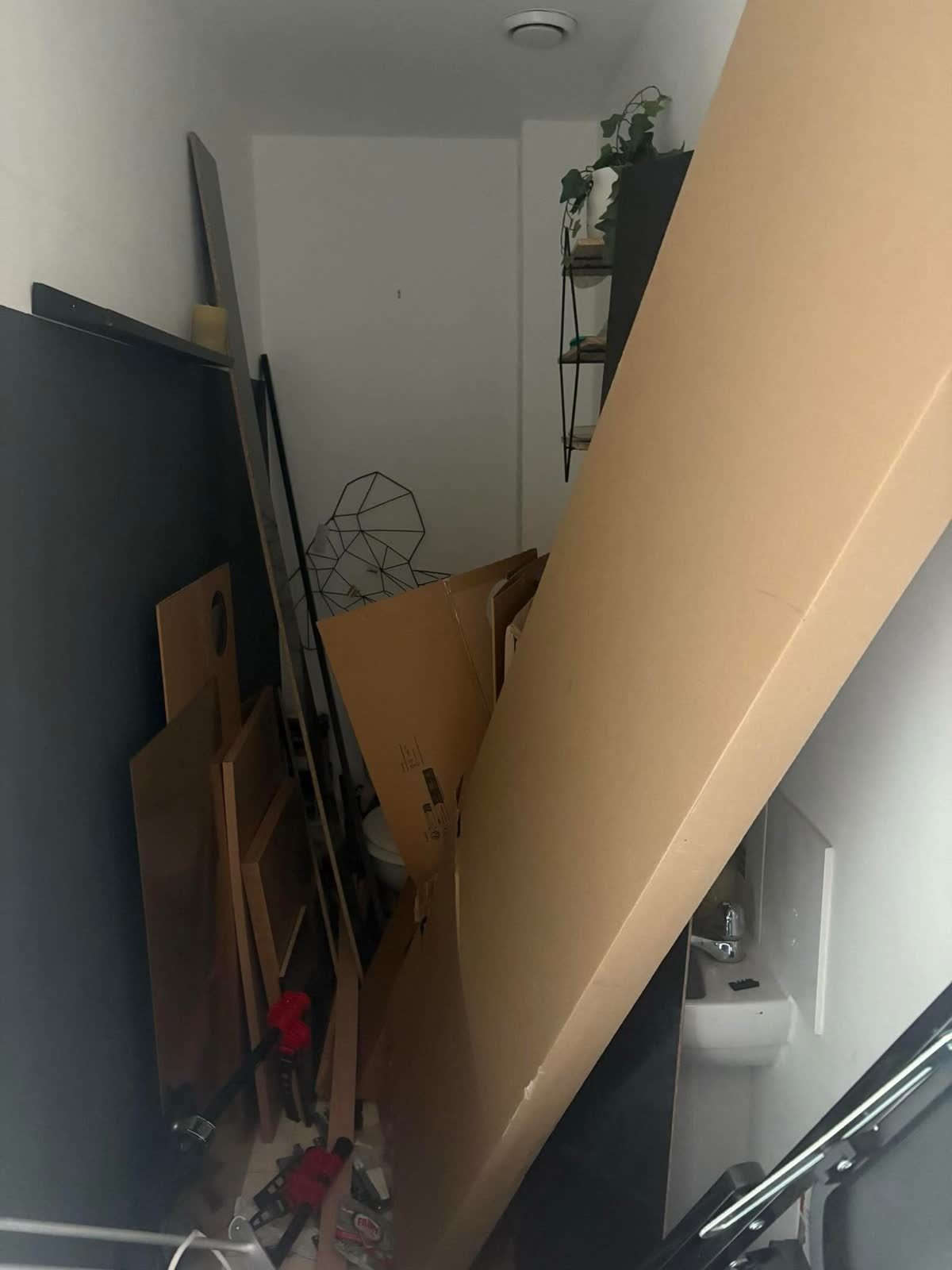 Last-Minute Tradesman Waste Clearance project photo 1