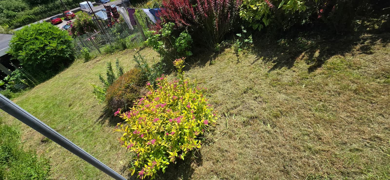 Lawn Mowing with Garden Waste Removal project photo 4