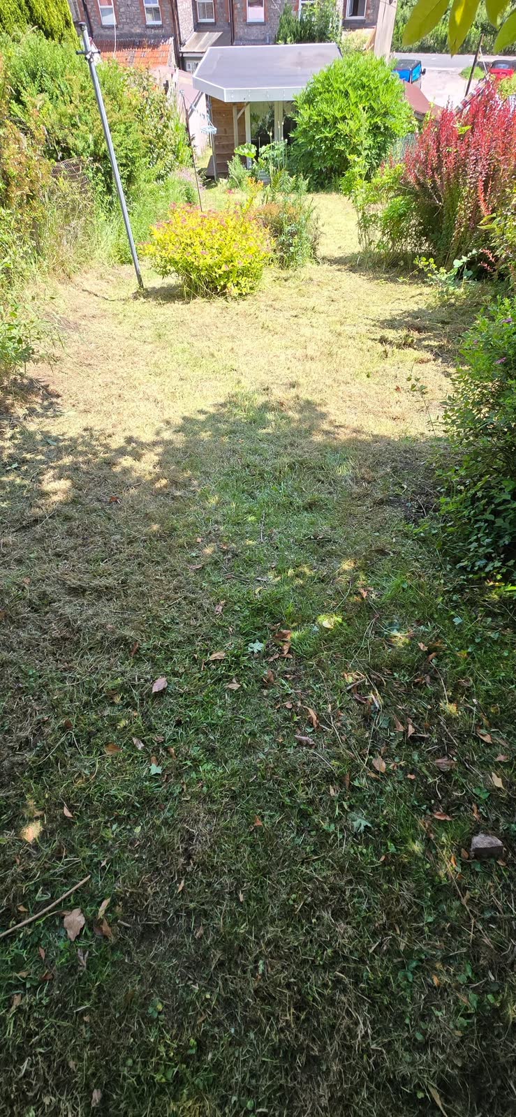 Lawn Mowing with Garden Waste Removal project photo 5