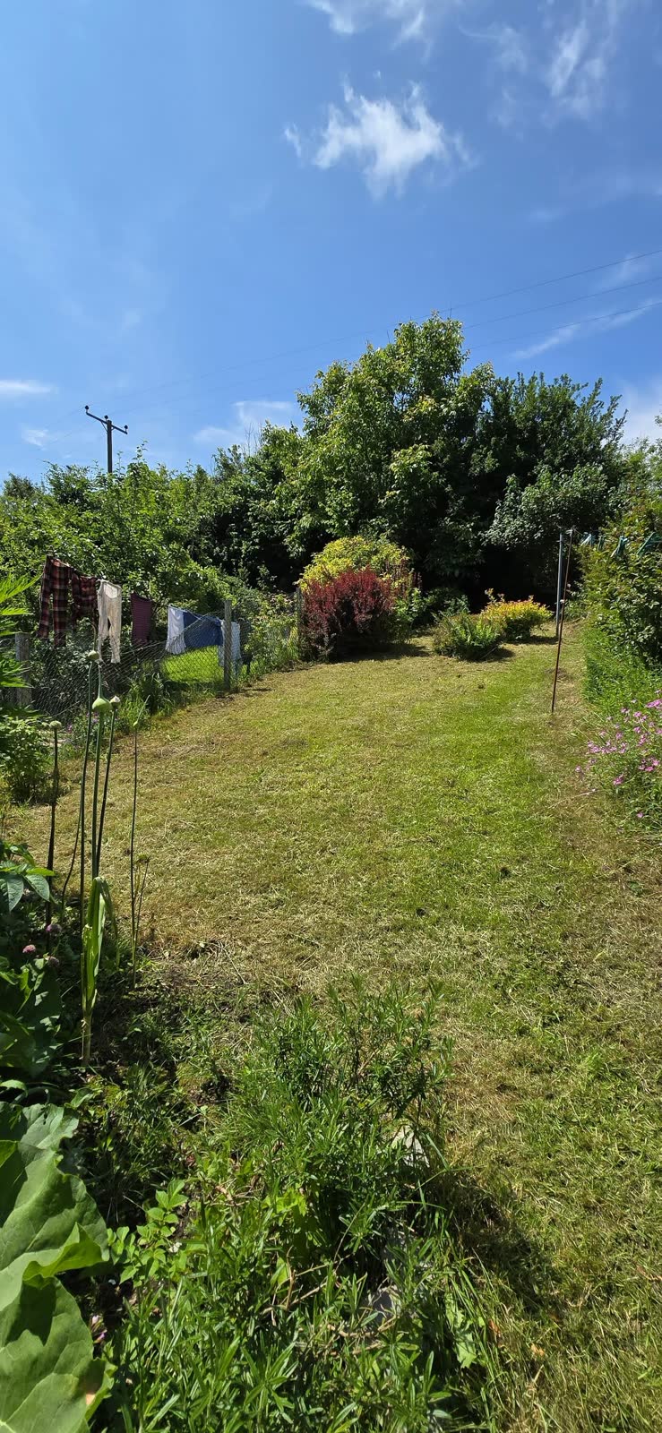 Lawn Mowing with Garden Waste Removal project photo 6