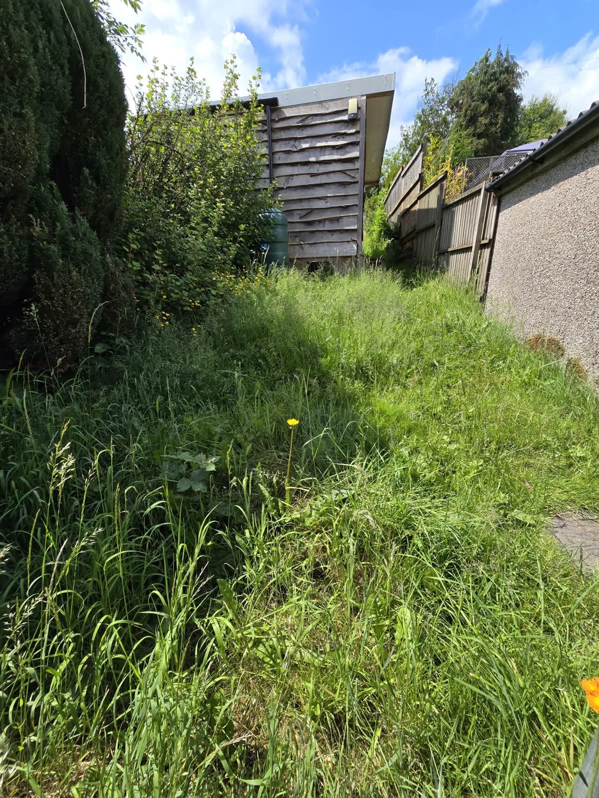 Lawn Mowing with Garden Waste Removal project photo 2