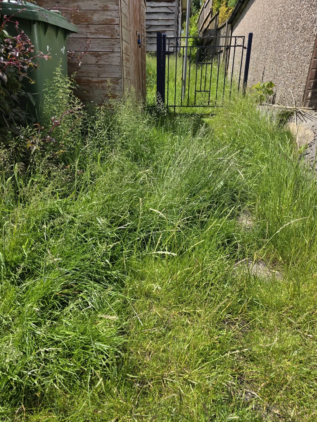 Lawn Mowing with Garden Waste Removal project photo 3