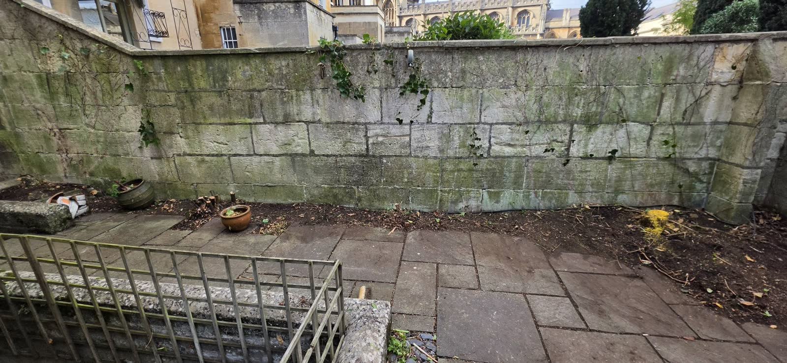 Low-Maintenance Overgrown Garden Transformation project photo 9