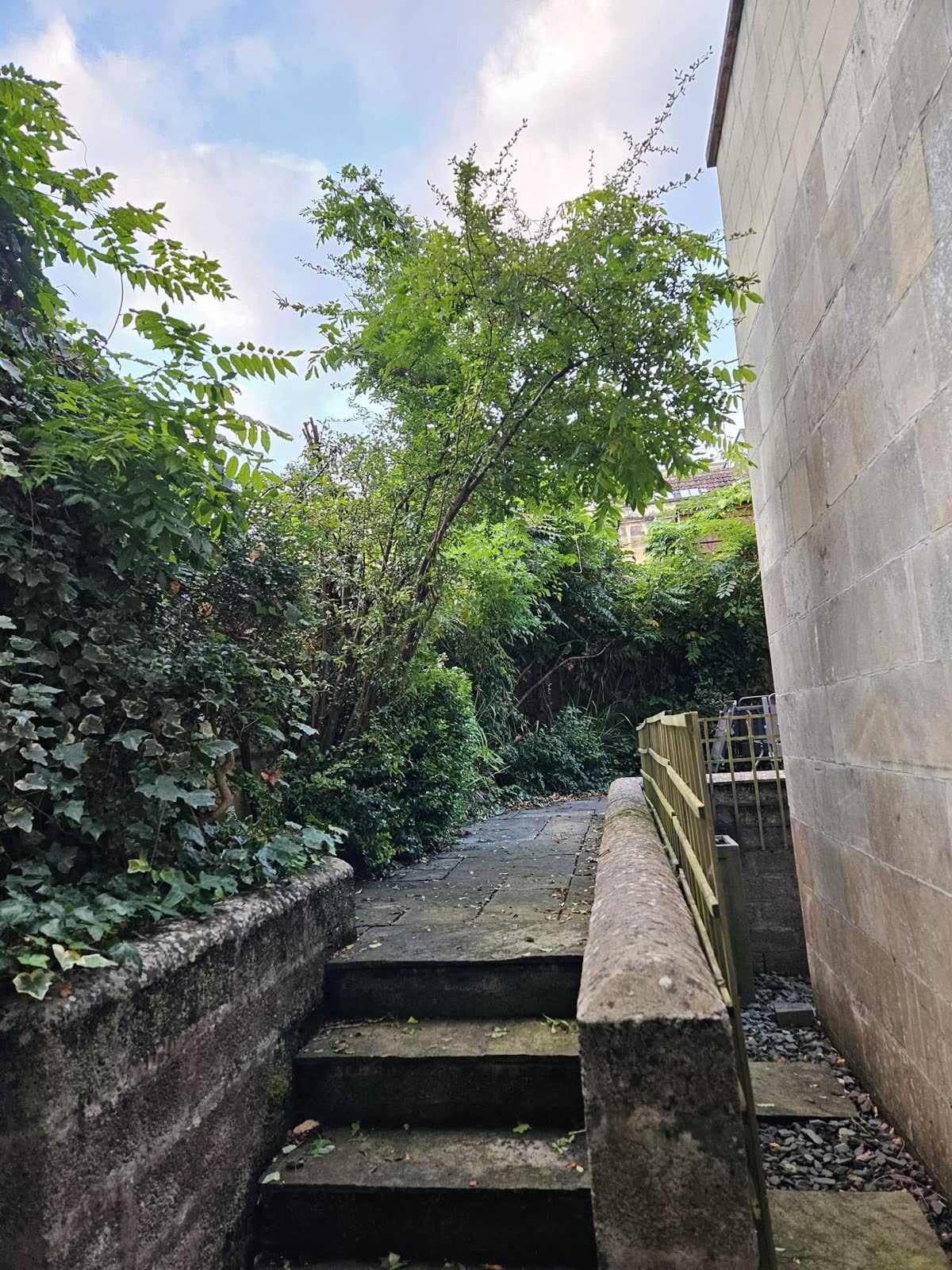 Low-Maintenance Overgrown Garden Transformation project photo 1