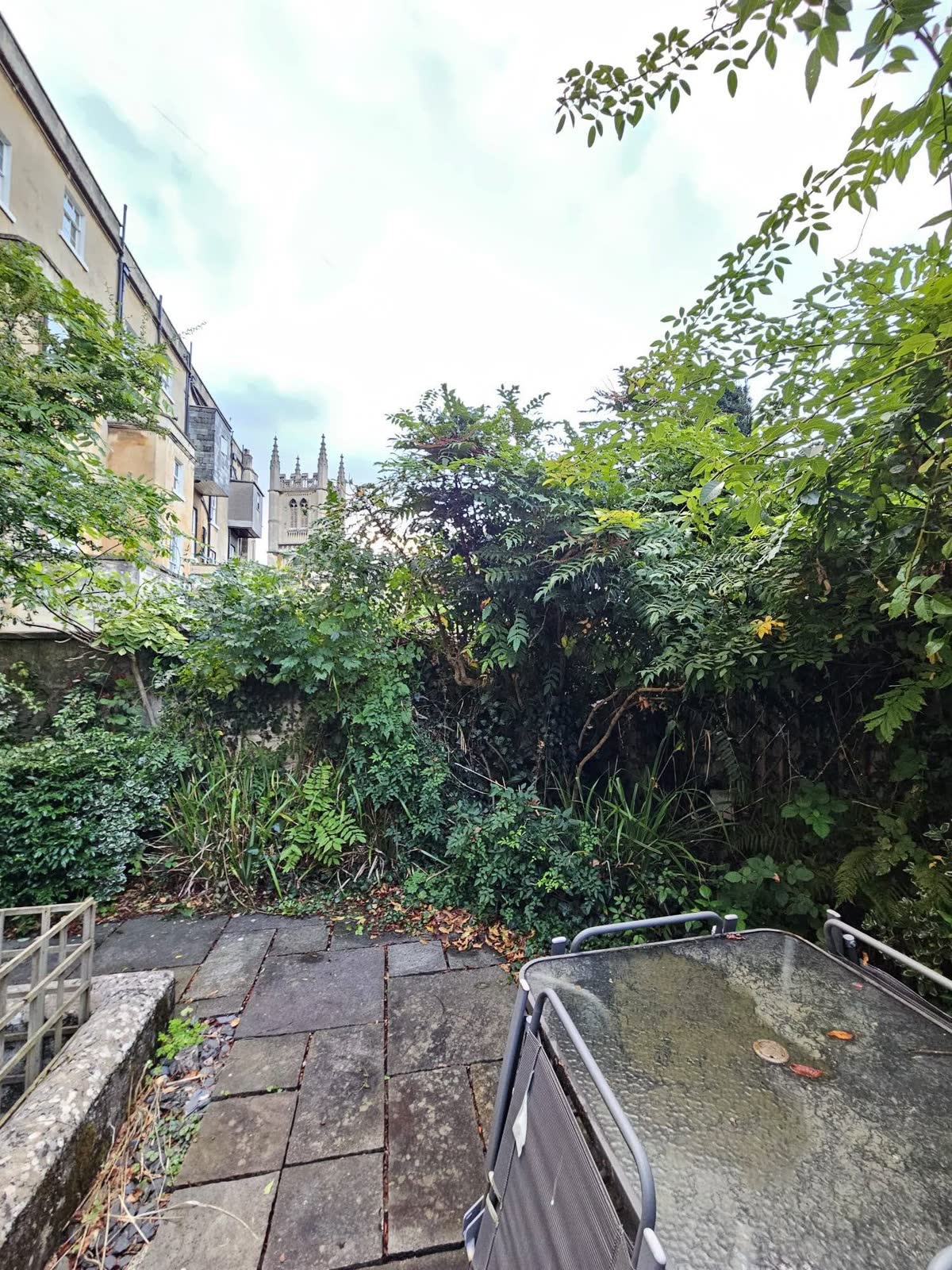 Low-Maintenance Overgrown Garden Transformation before clearance