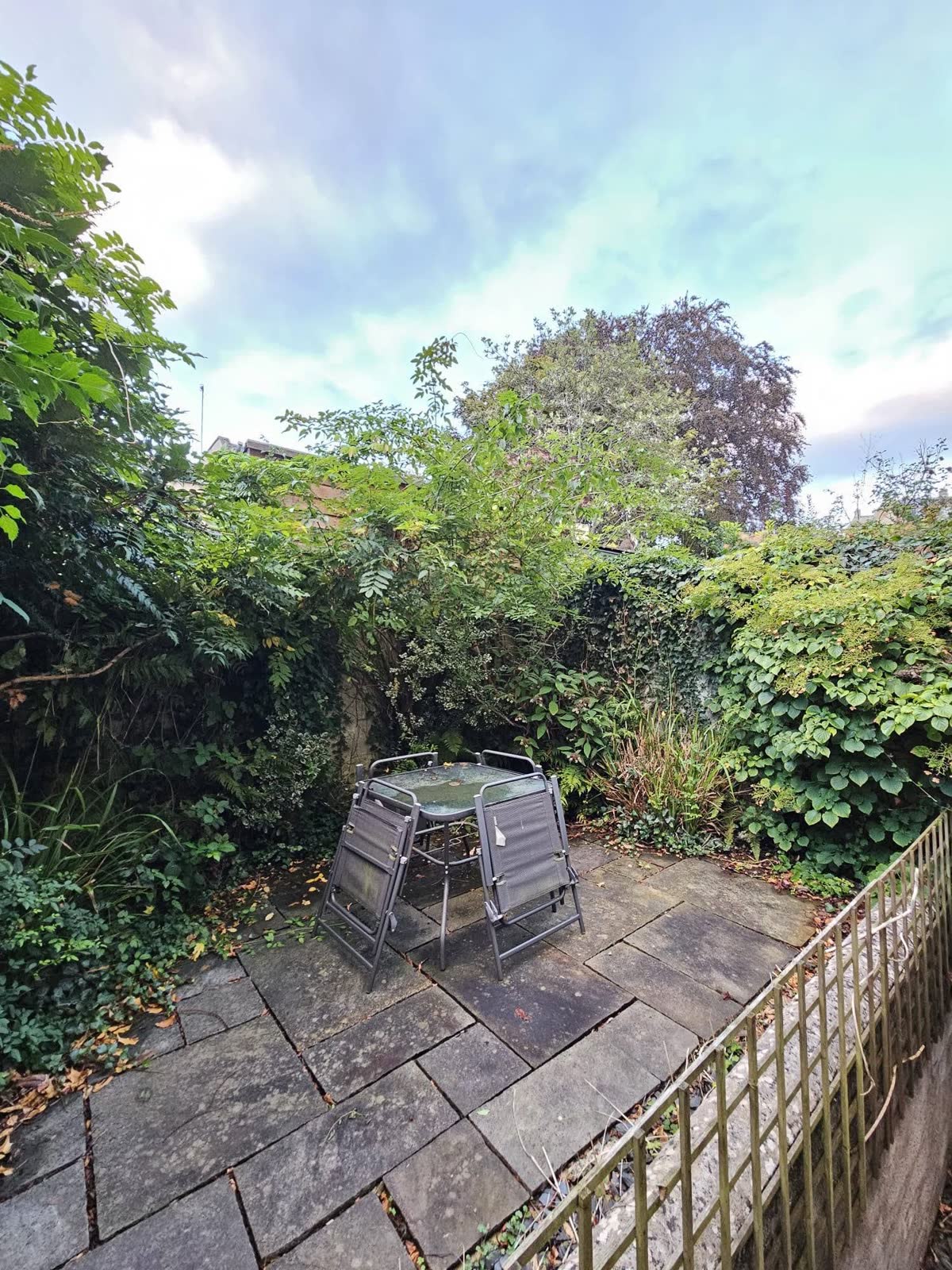 Low-Maintenance Overgrown Garden Transformation project photo 5