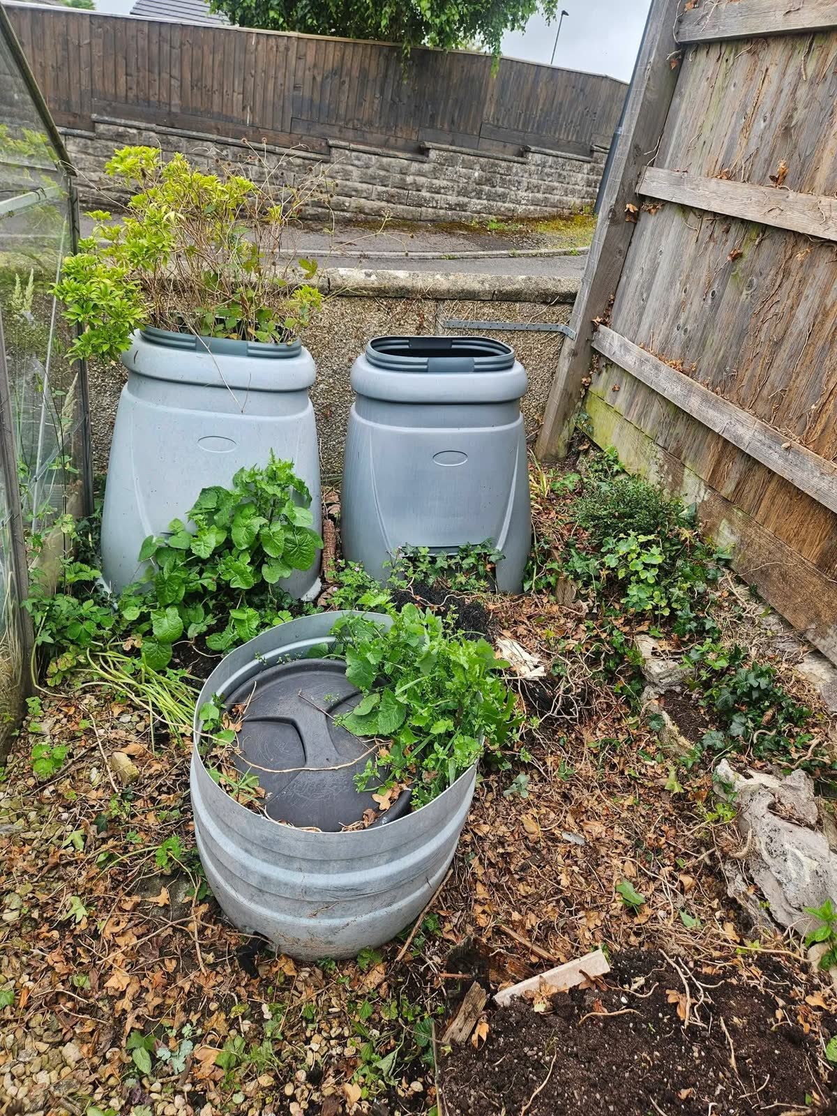 Mixed Green and General Waste Clearance before clearance