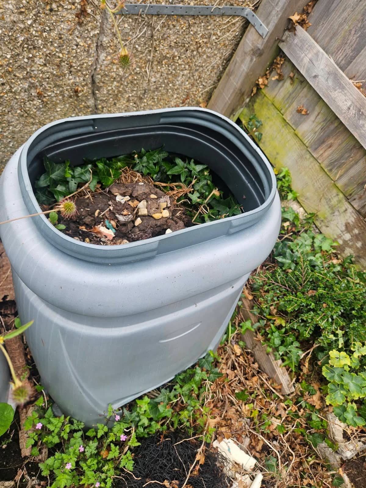 Mixed Green and General Waste Clearance project photo 4