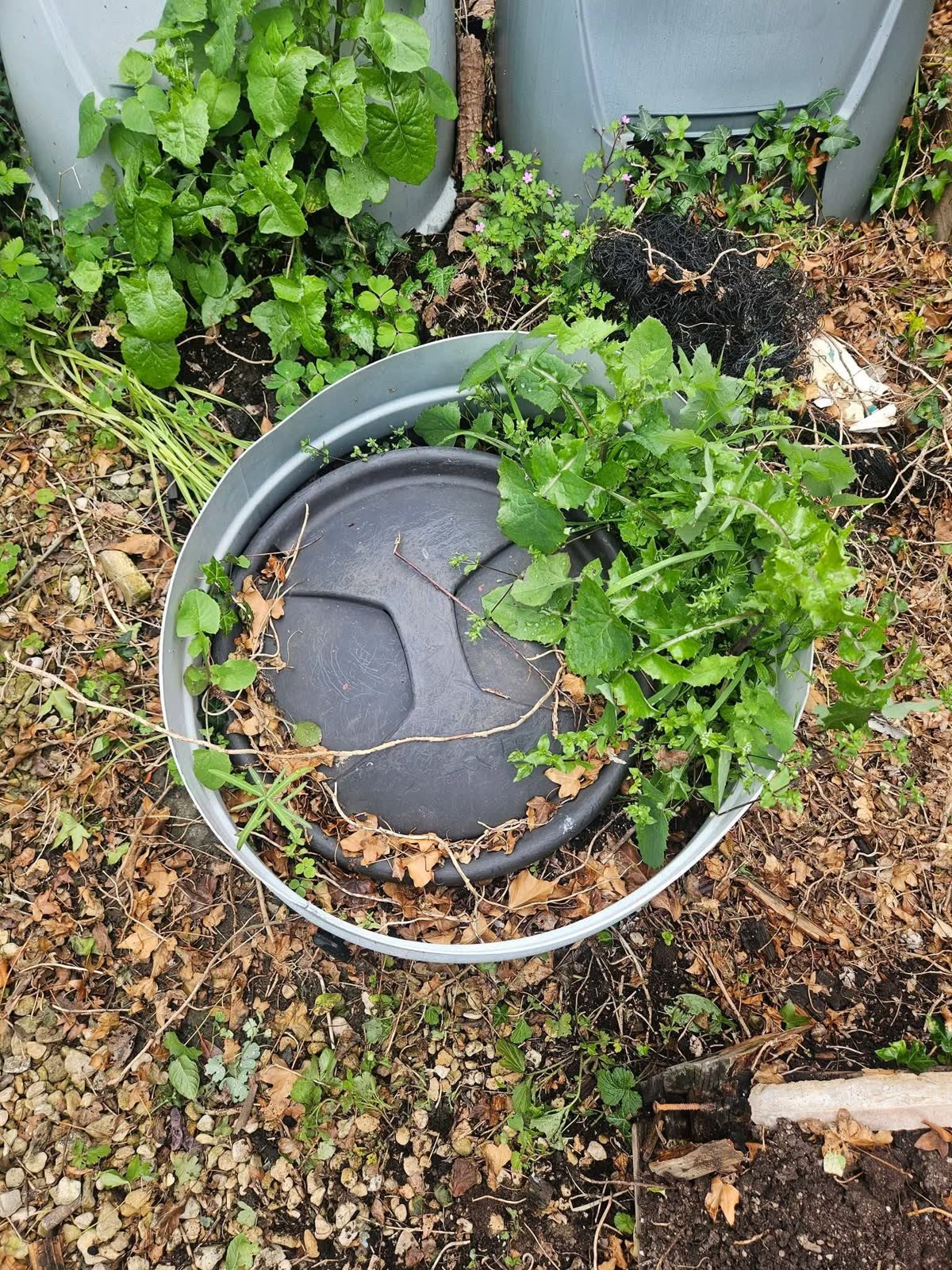 Mixed Green and General Waste Clearance project photo 5