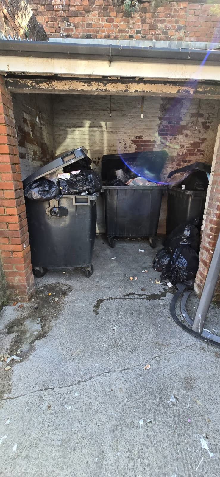 Overflowing Communal Bin-Store Clearance project photo 1