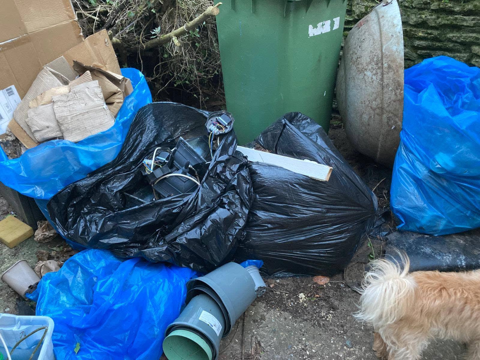 Post-Christmas Household Waste Clearance project photo 1