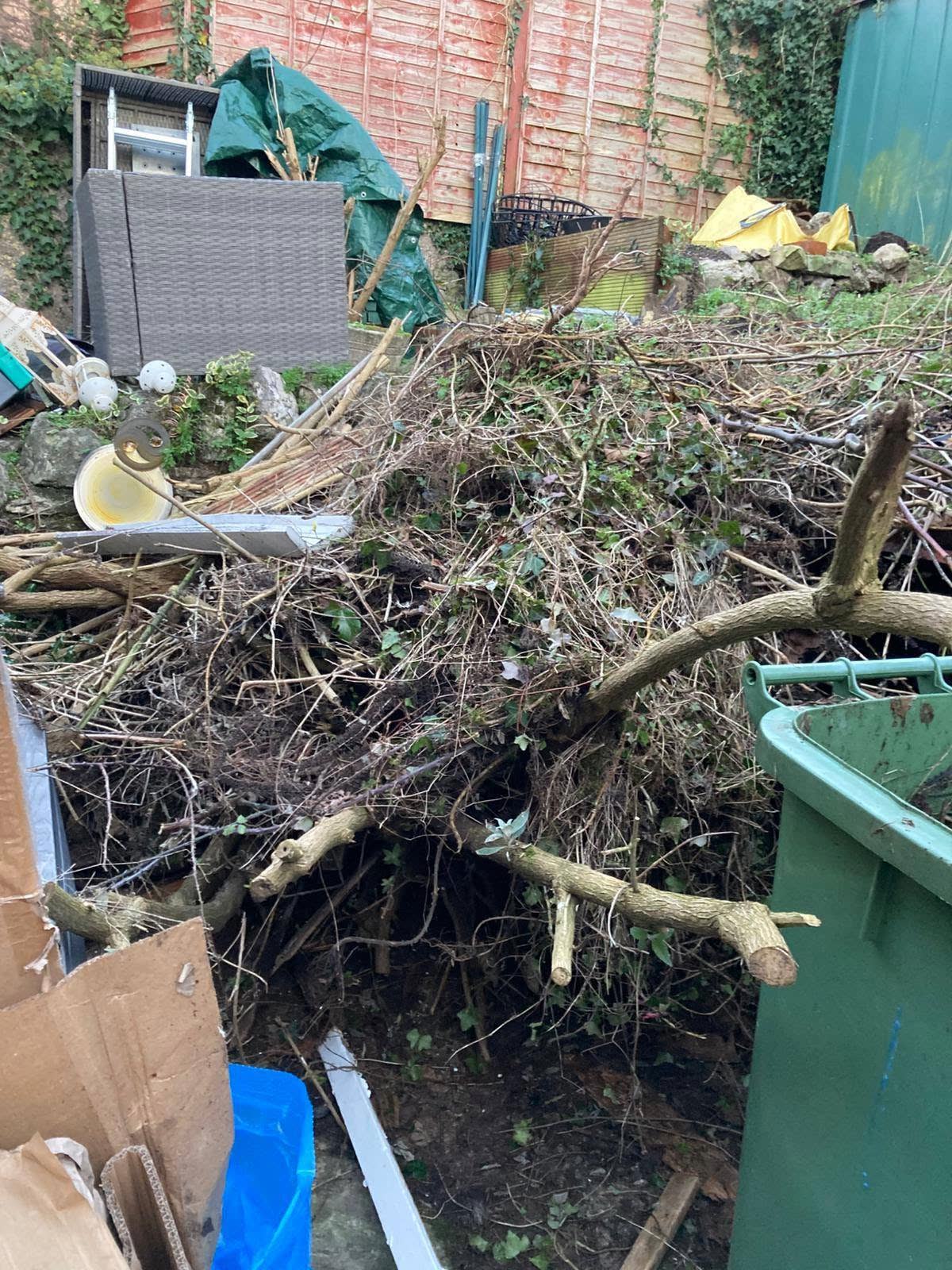 Post-Christmas Household Waste Clearance project photo 5
