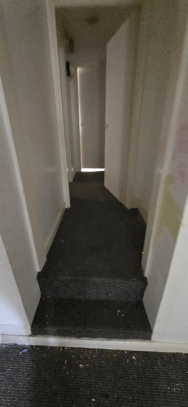 Warminster Full Flat Clearance project photo 23